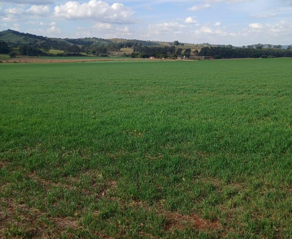 Fazenda, 3 quartos - Foto 6