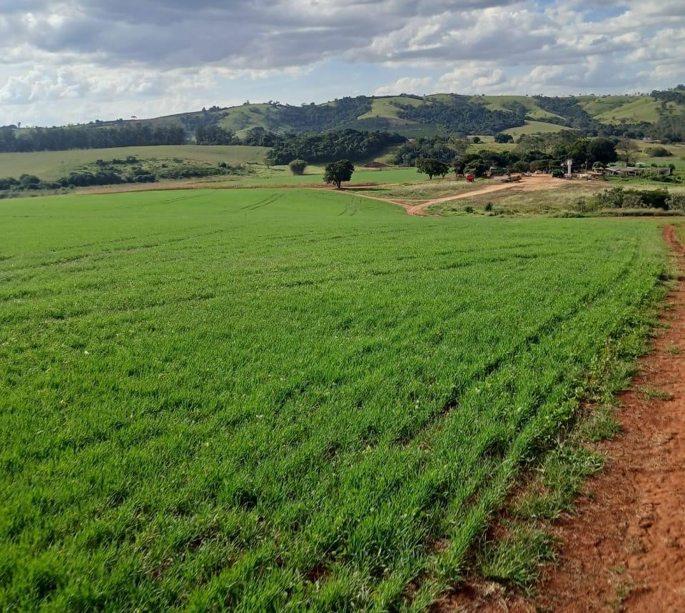 Fazenda, 3 quartos - Foto 5