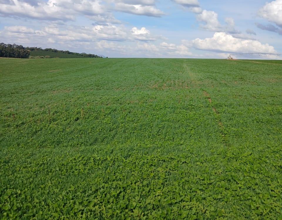 Fazenda, 3 quartos - Foto 7