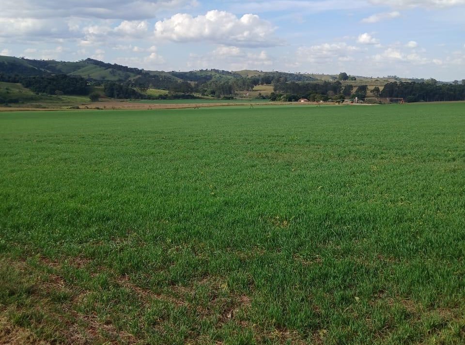 Fazenda, 3 quartos - Foto 1