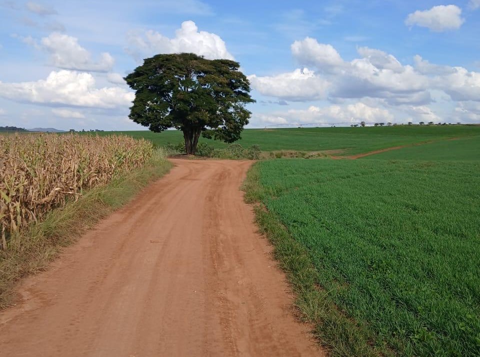 Fazenda, 3 quartos - Foto 15
