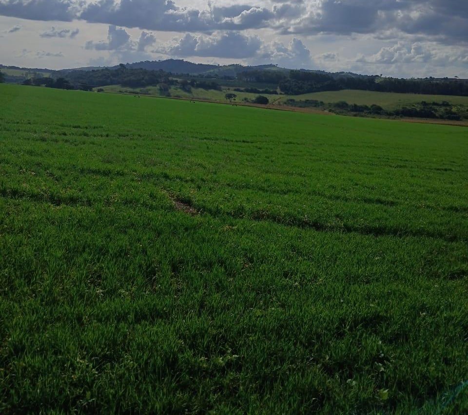 Fazenda, 3 quartos - Foto 14