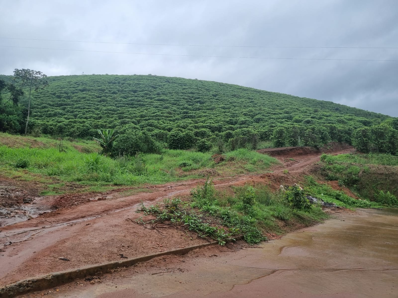 Fazenda, 90 hectares - Foto 13