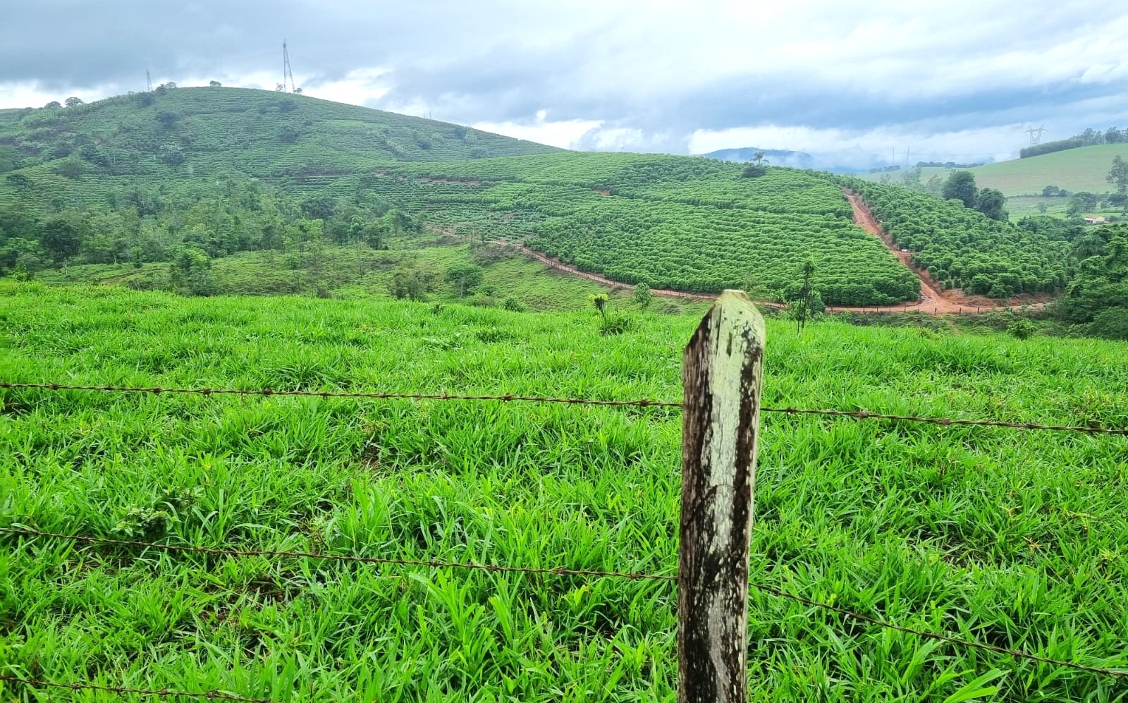Fazenda, 90 hectares - Foto 12