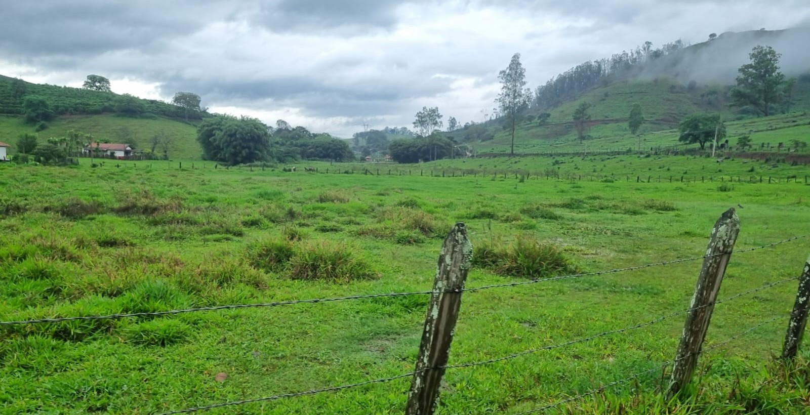 Fazenda, 90 hectares - Foto 15