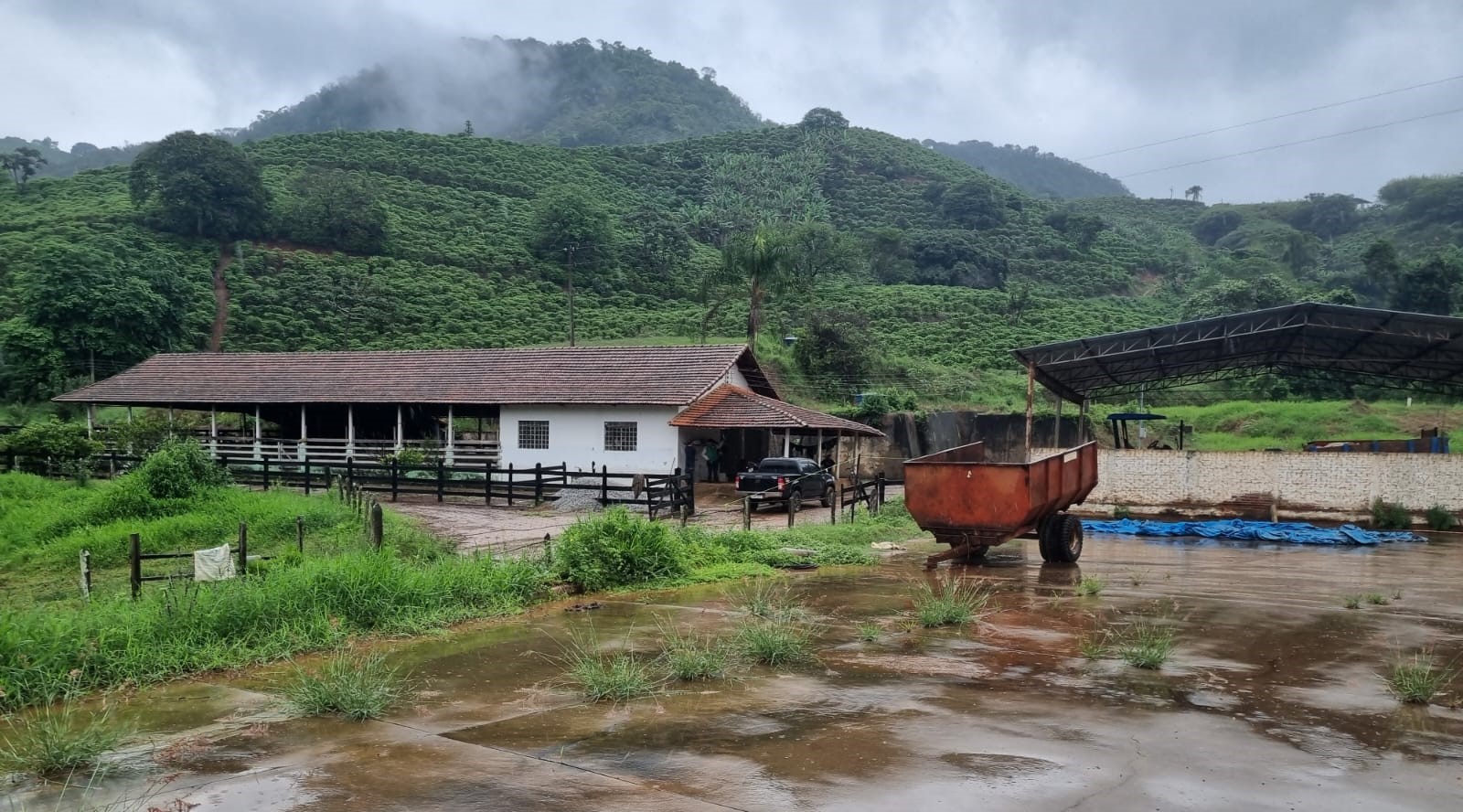 Fazenda, 90 hectares - Foto 23