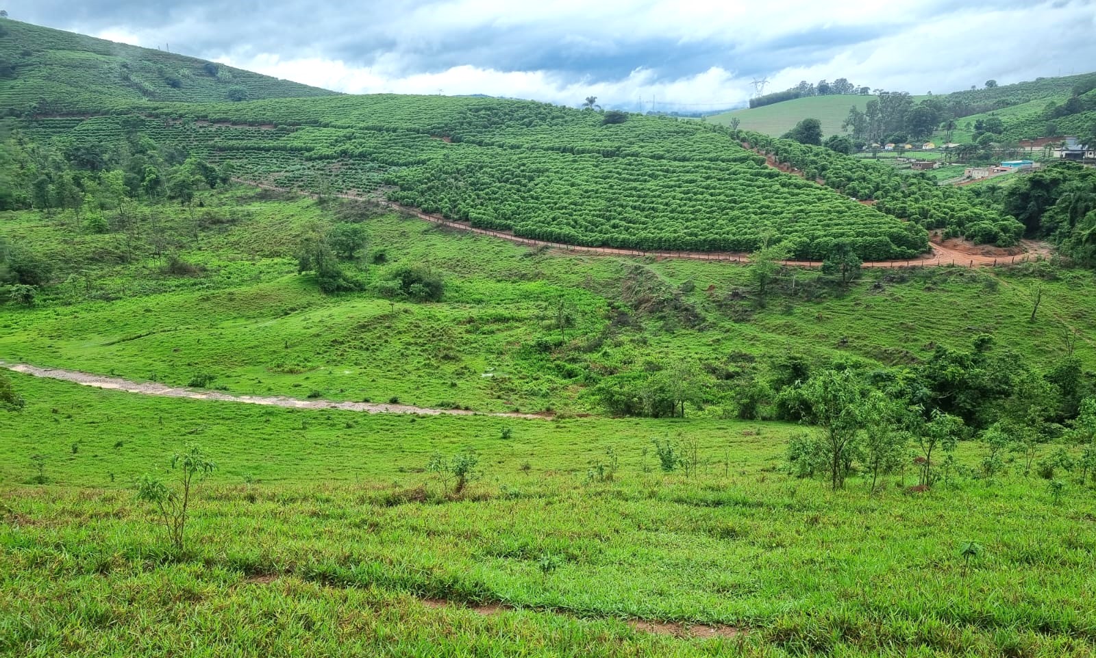 Fazenda, 90 hectares - Foto 14