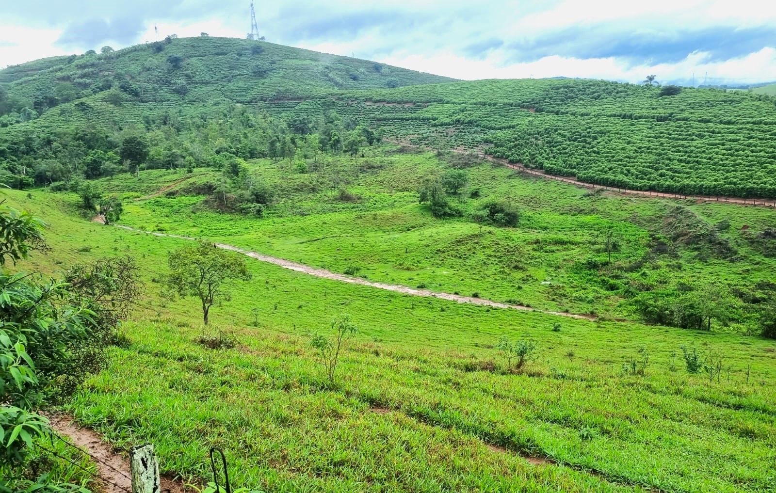 Fazenda, 90 hectares - Foto 6