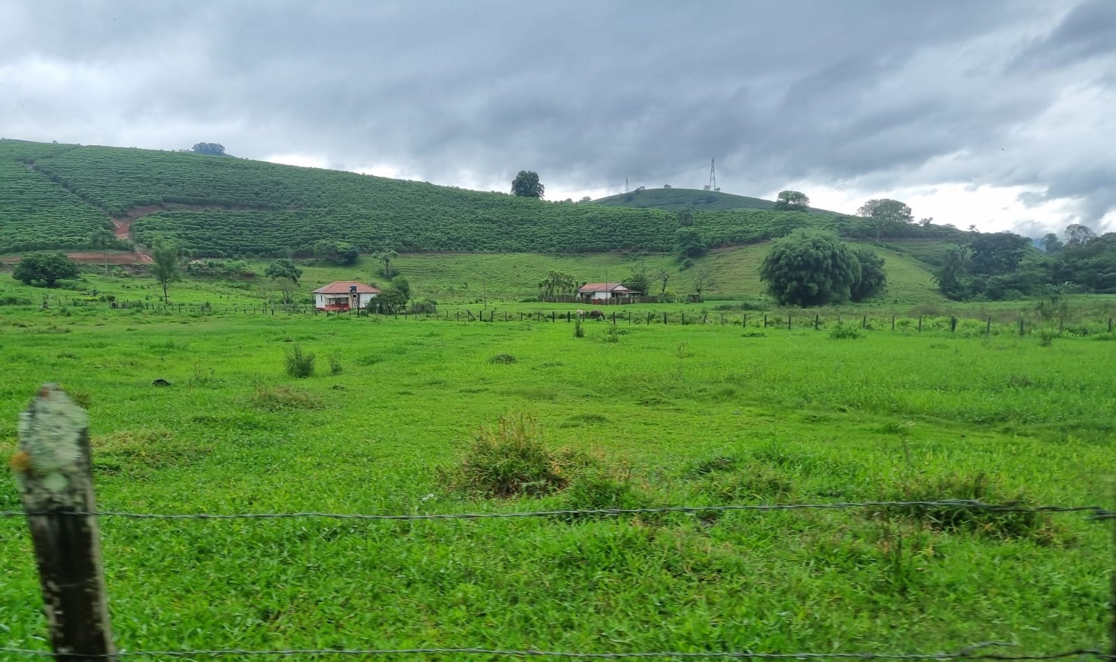 Fazenda, 90 hectares - Foto 16