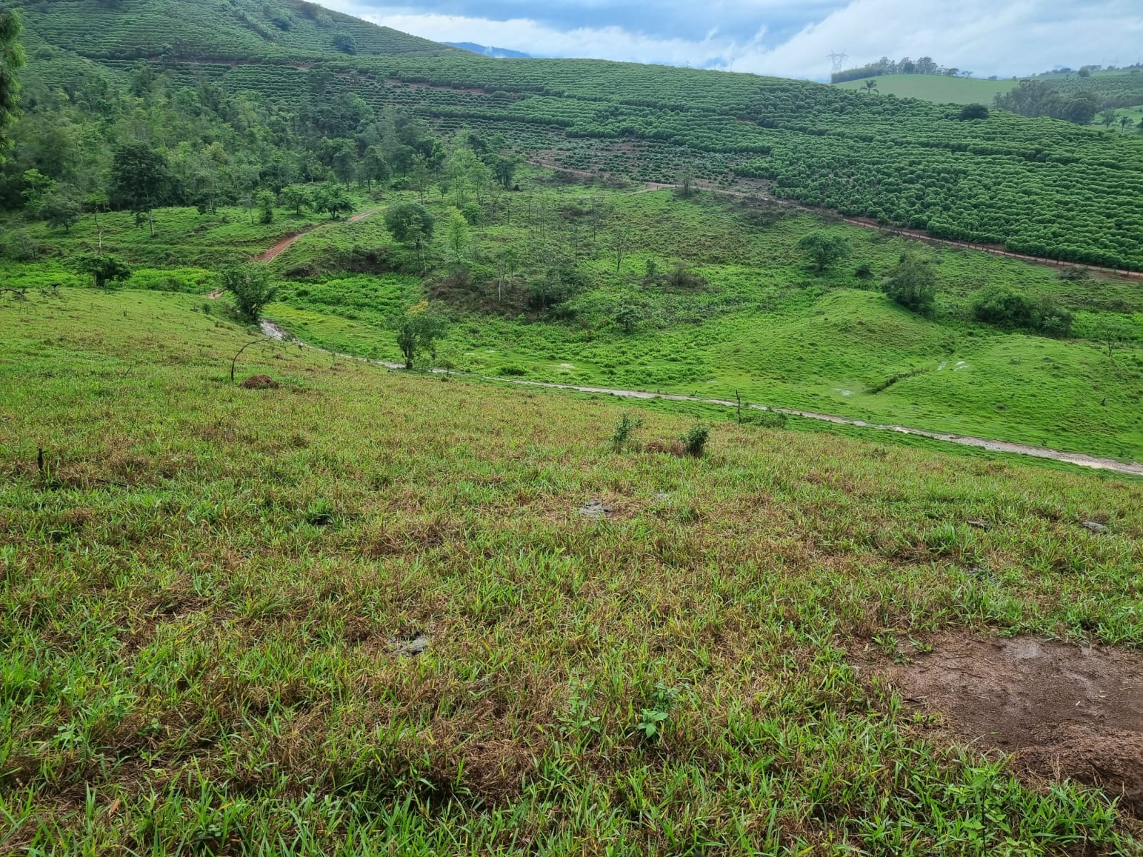 Fazenda, 90 hectares - Foto 11