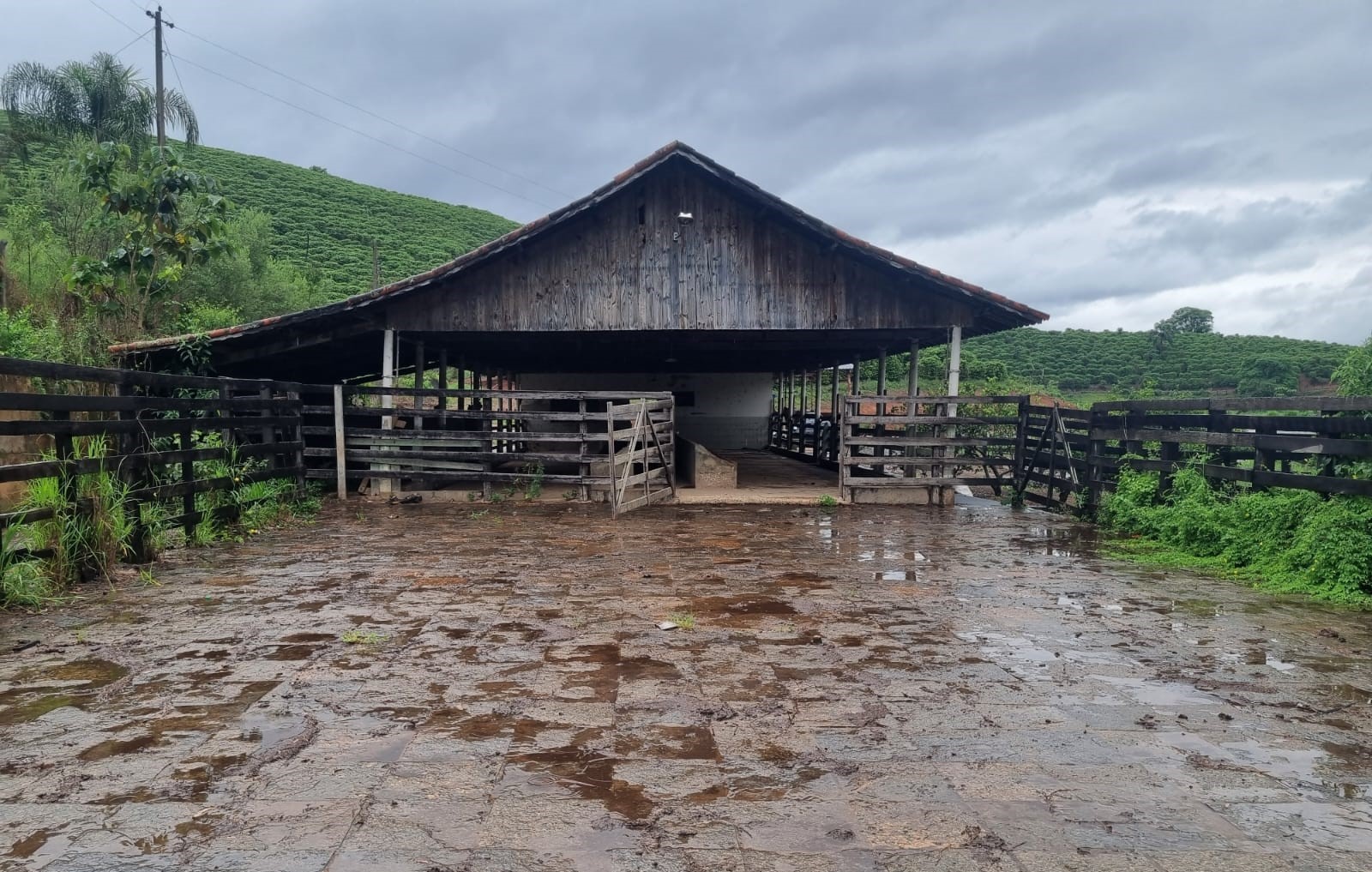 Fazenda, 90 hectares - Foto 25