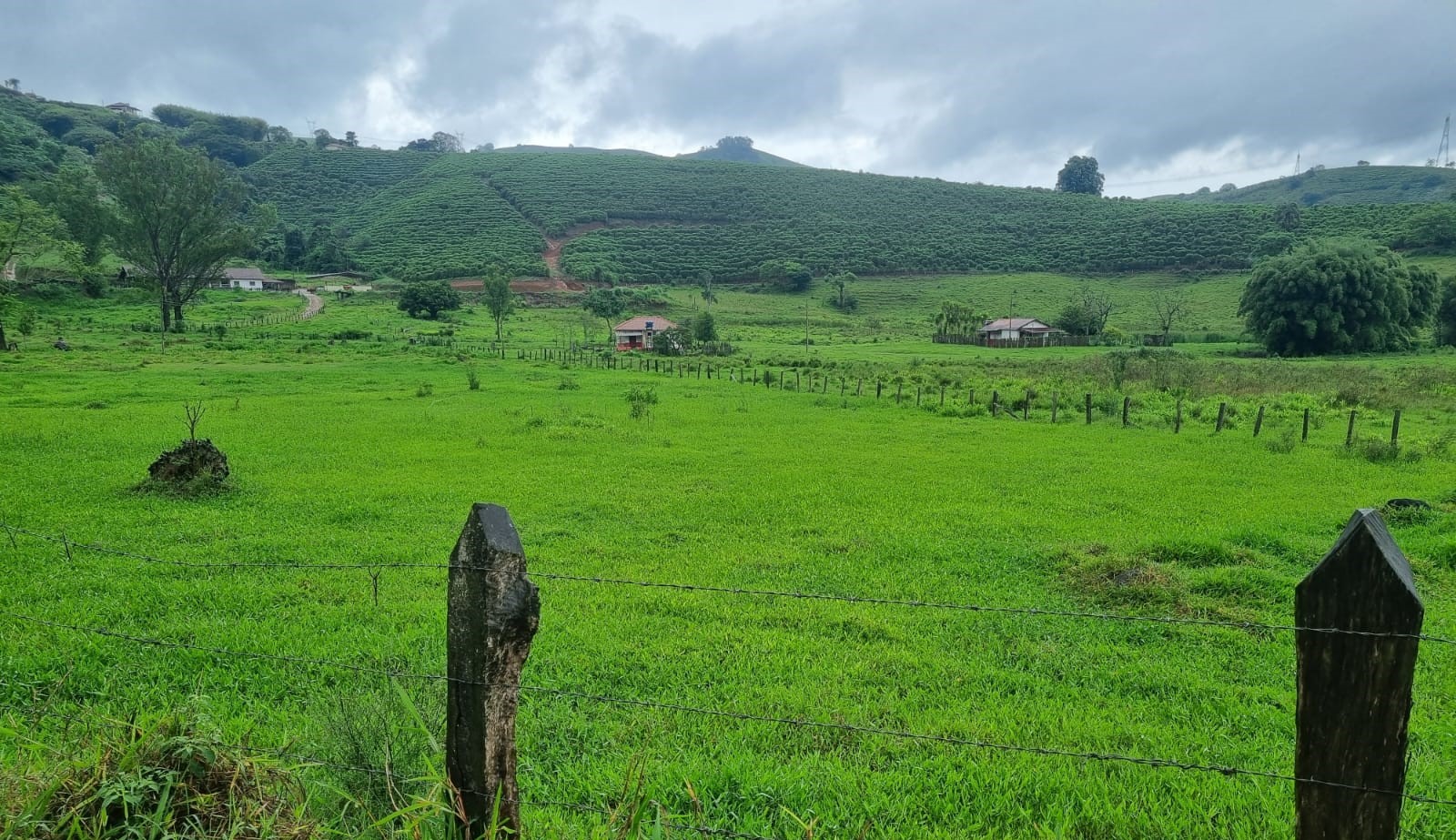 Fazenda, 90 hectares - Foto 20