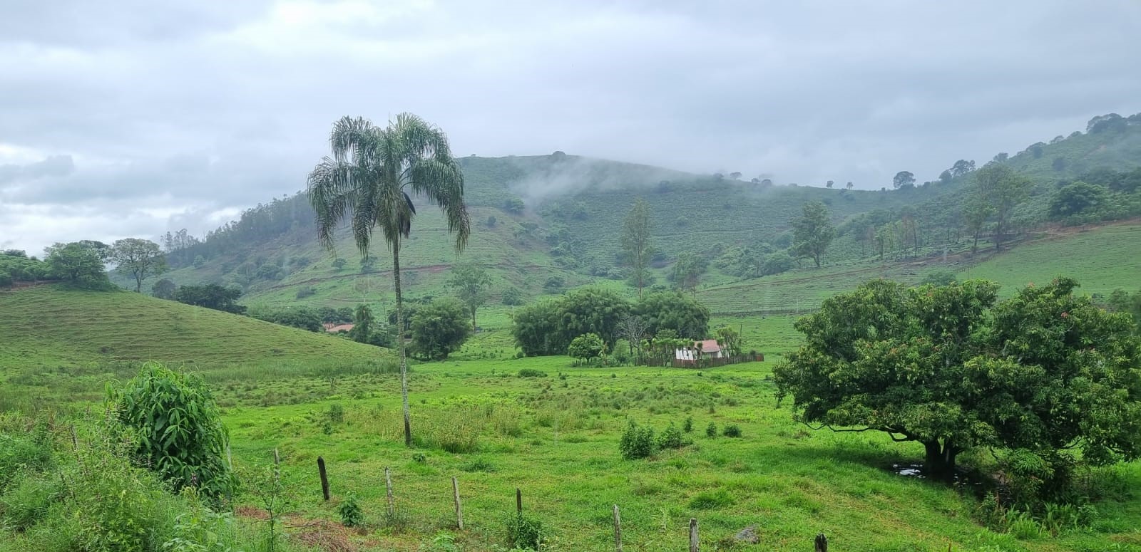 Fazenda, 90 hectares - Foto 19