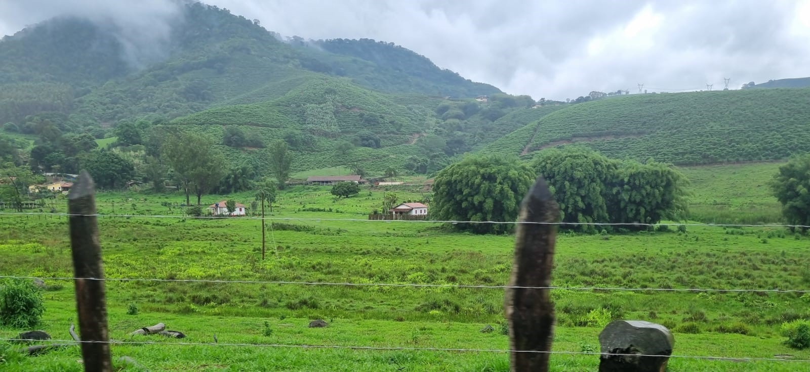 Fazenda, 90 hectares - Foto 17