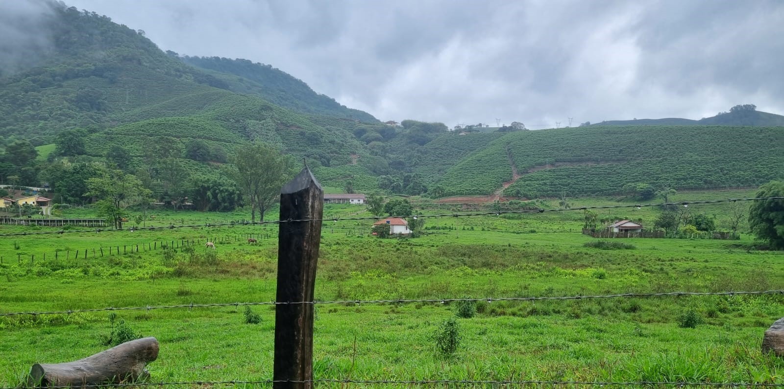 Fazenda, 90 hectares - Foto 18