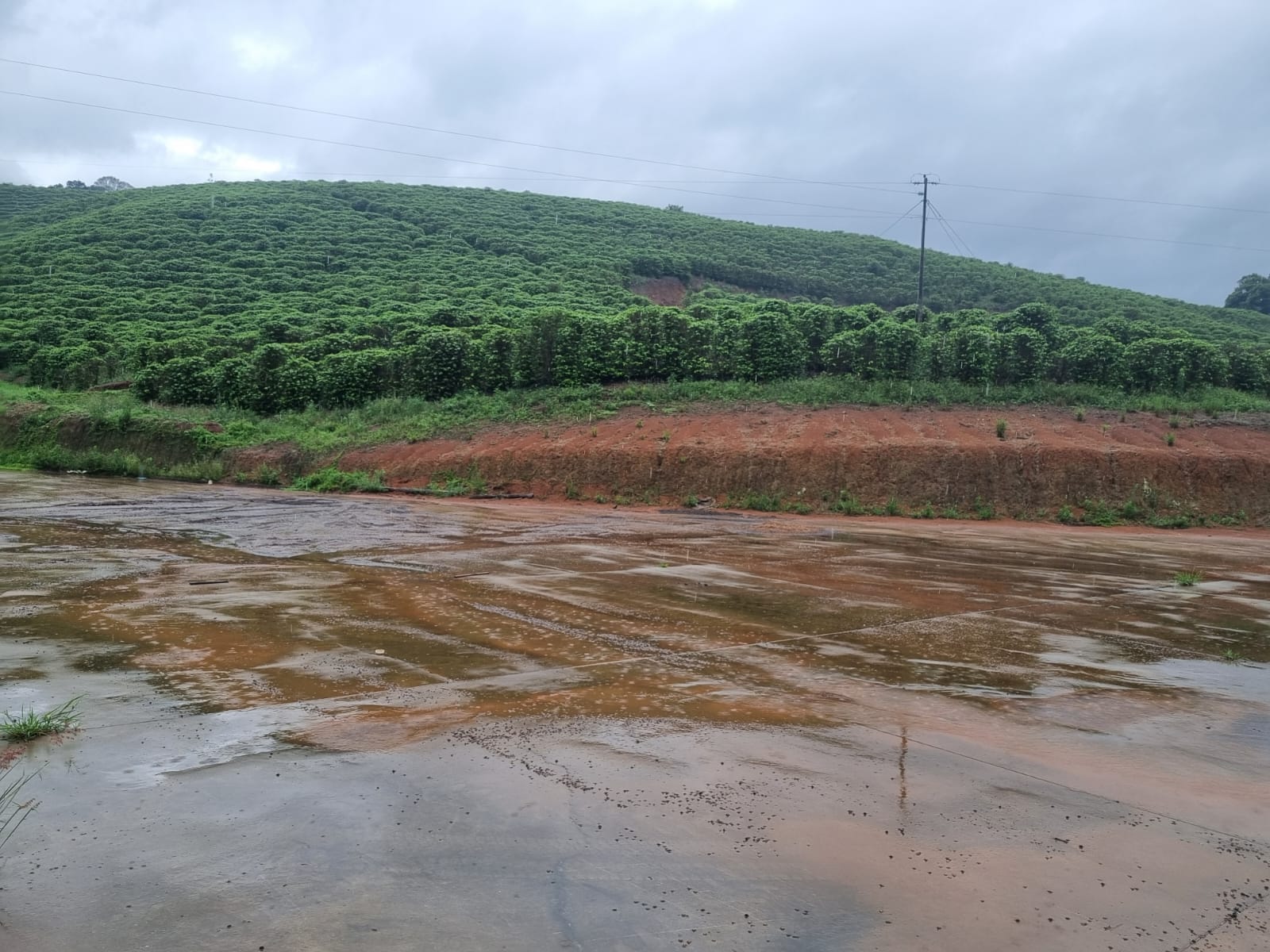 Fazenda, 90 hectares - Foto 22