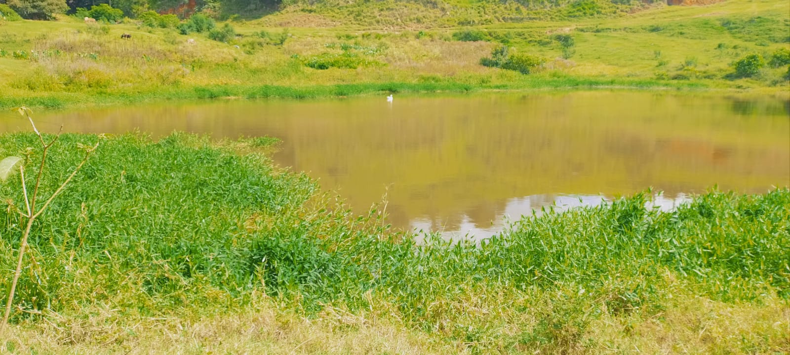 Fazenda, 724 hectares - Foto 18