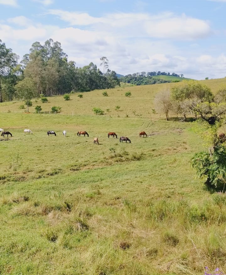 Fazenda, 724 hectares - Foto 13