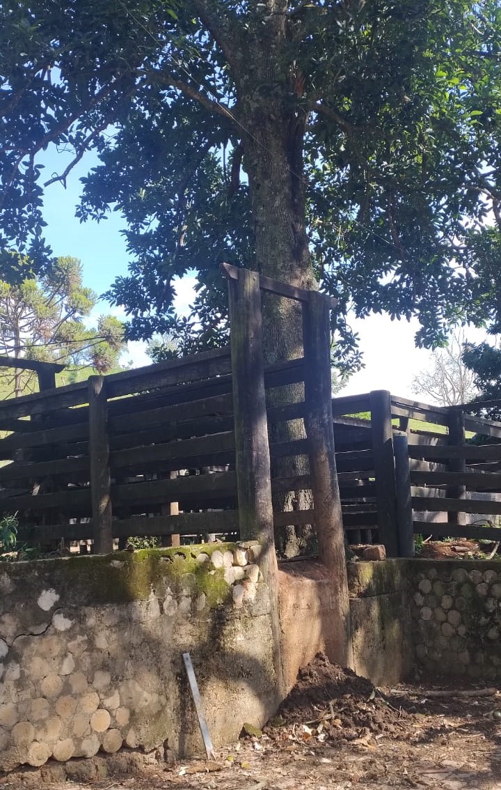 Fazenda, 724 hectares - Foto 25