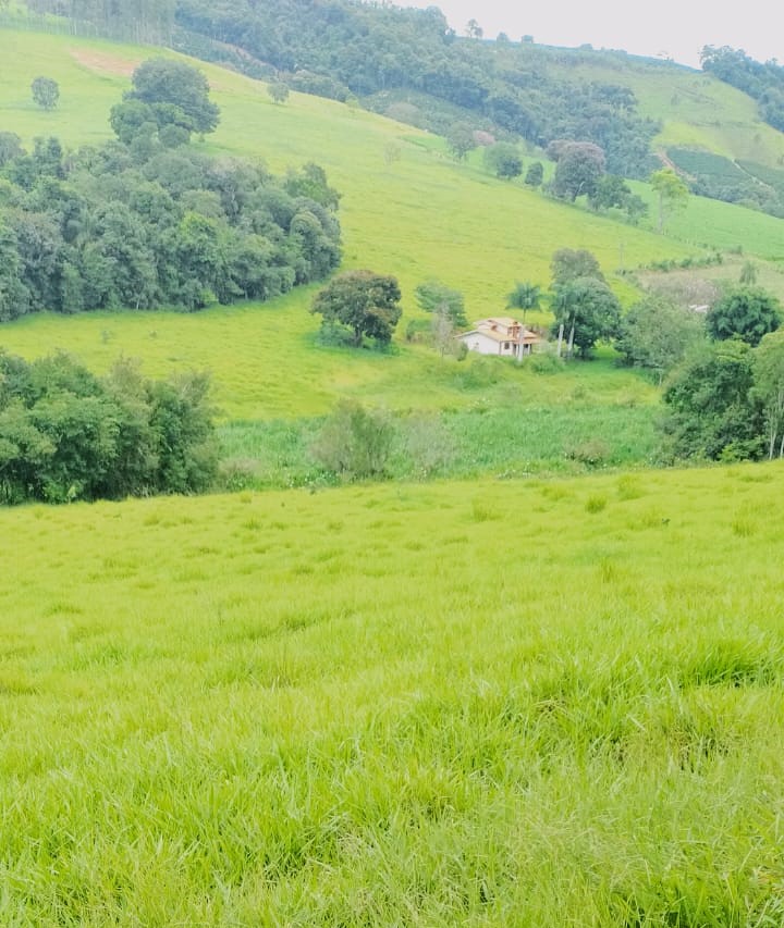 Fazenda, 724 hectares - Foto 2