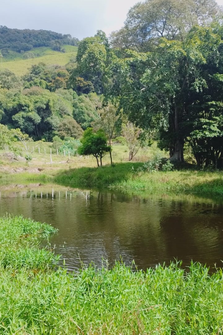 Fazenda, 724 hectares - Foto 5