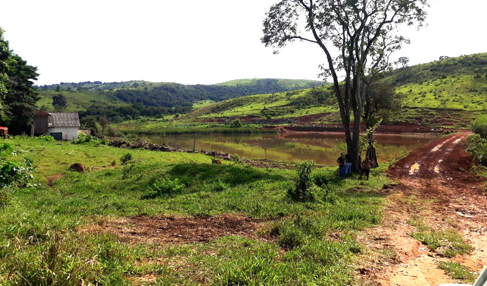 Fazenda, 365 hectares - Foto 21