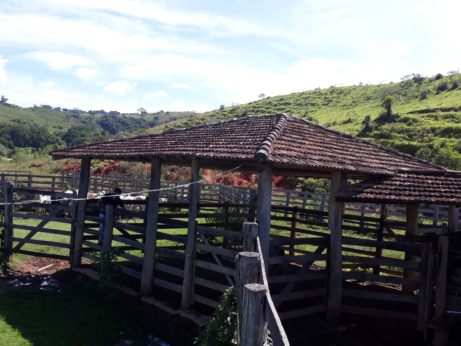 Fazenda, 365 hectares - Foto 24