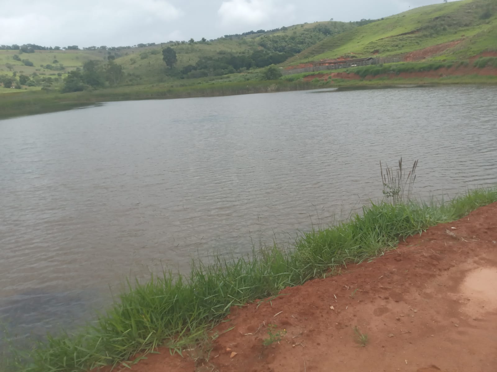 Fazenda, 365 hectares - Foto 20