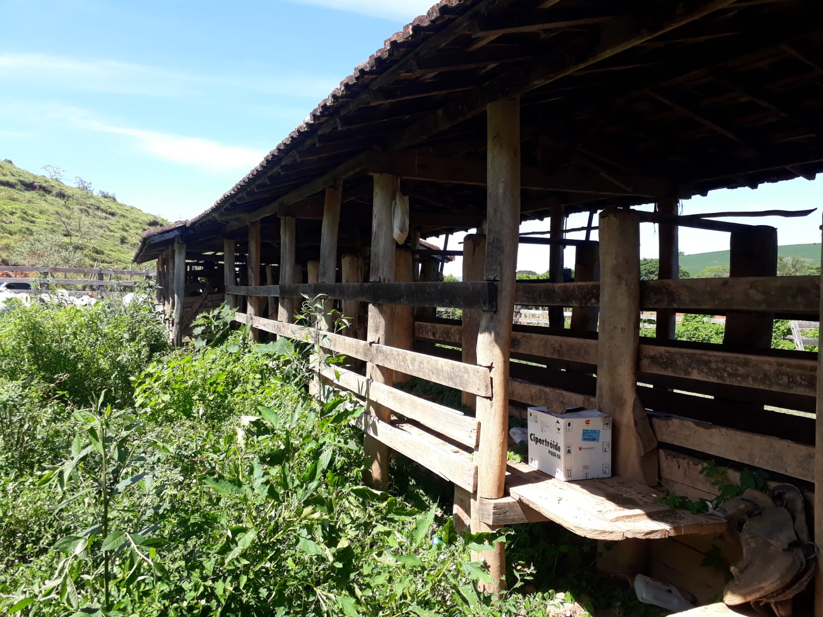 Fazenda, 365 hectares - Foto 22