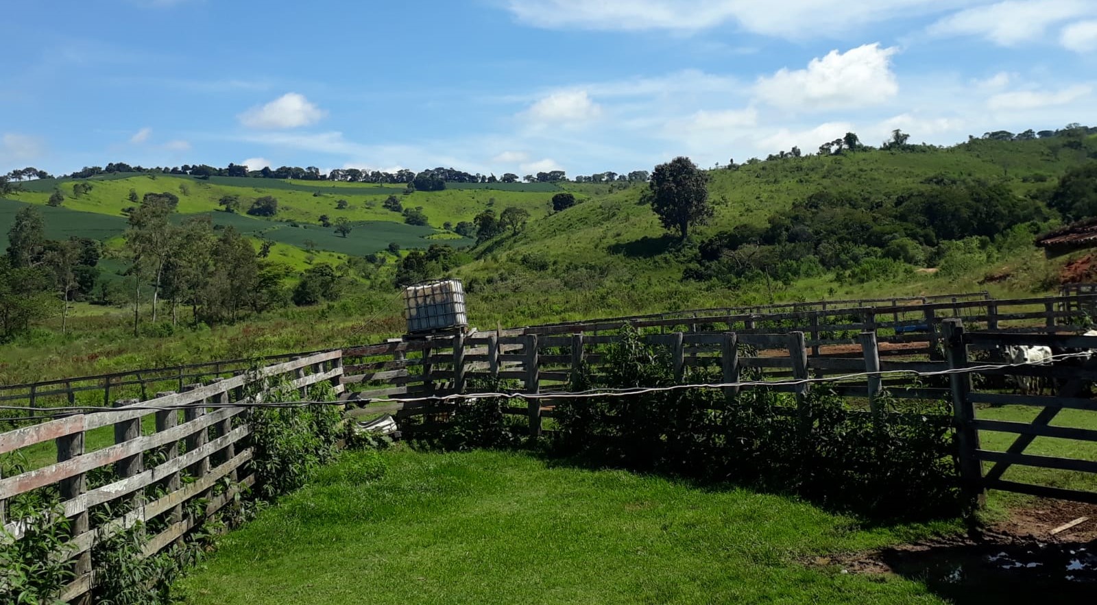 Fazenda, 365 hectares - Foto 23