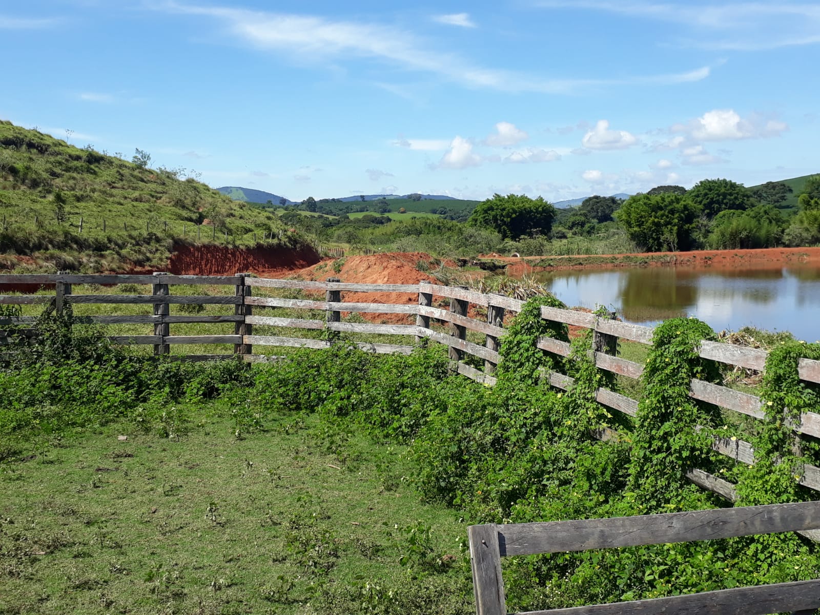 Fazenda, 365 hectares - Foto 19