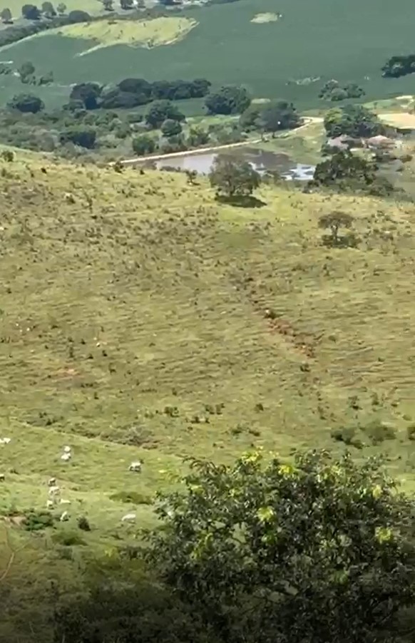 Fazenda, 365 hectares - Foto 14