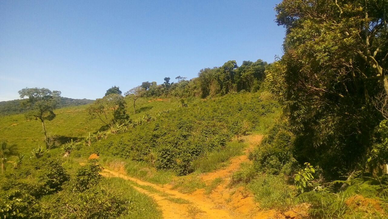 Sítio, 2 quartos, 166 m² - Foto 11