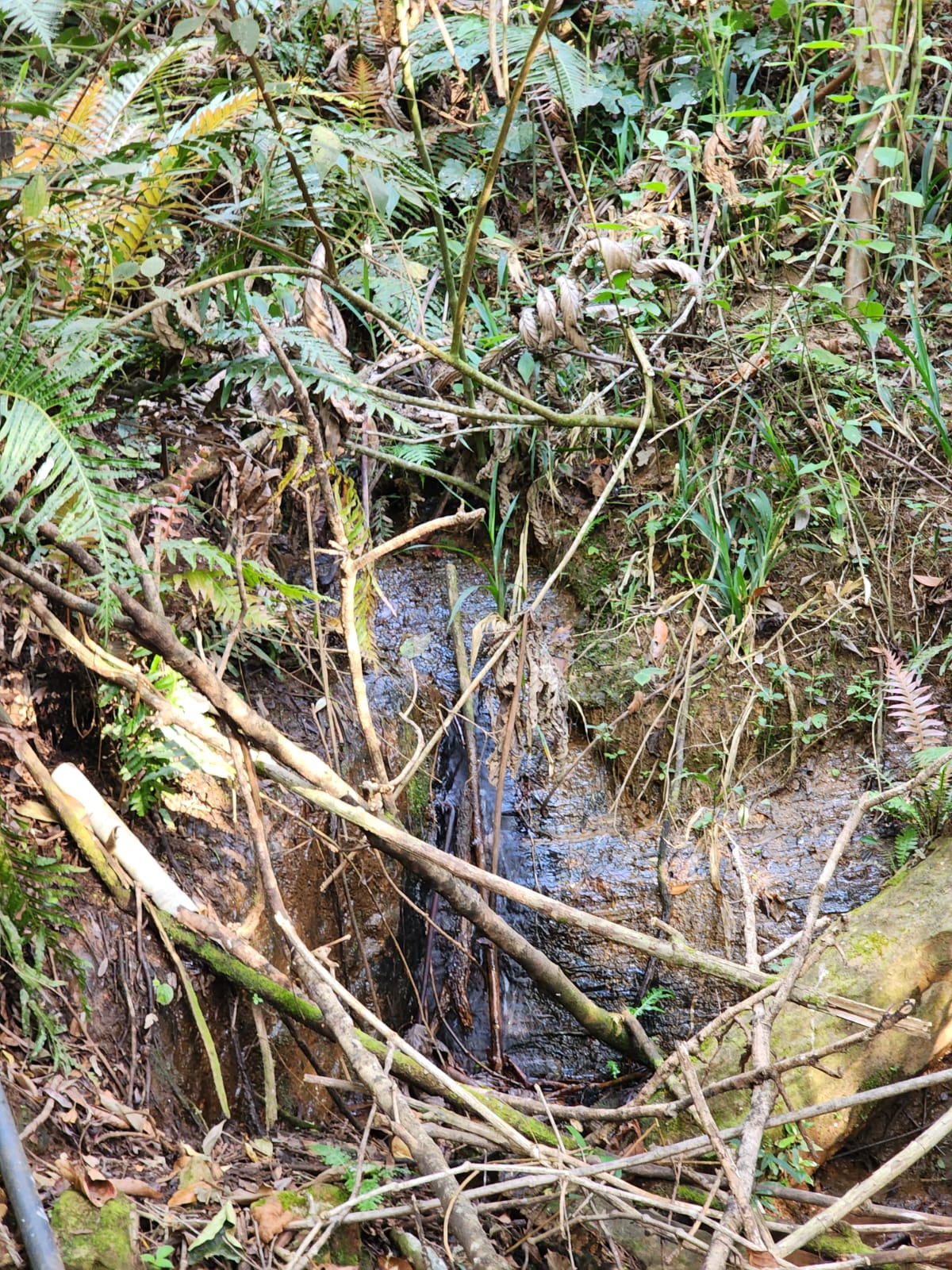 Sítio, 2 quartos, 166 m² - Foto 21