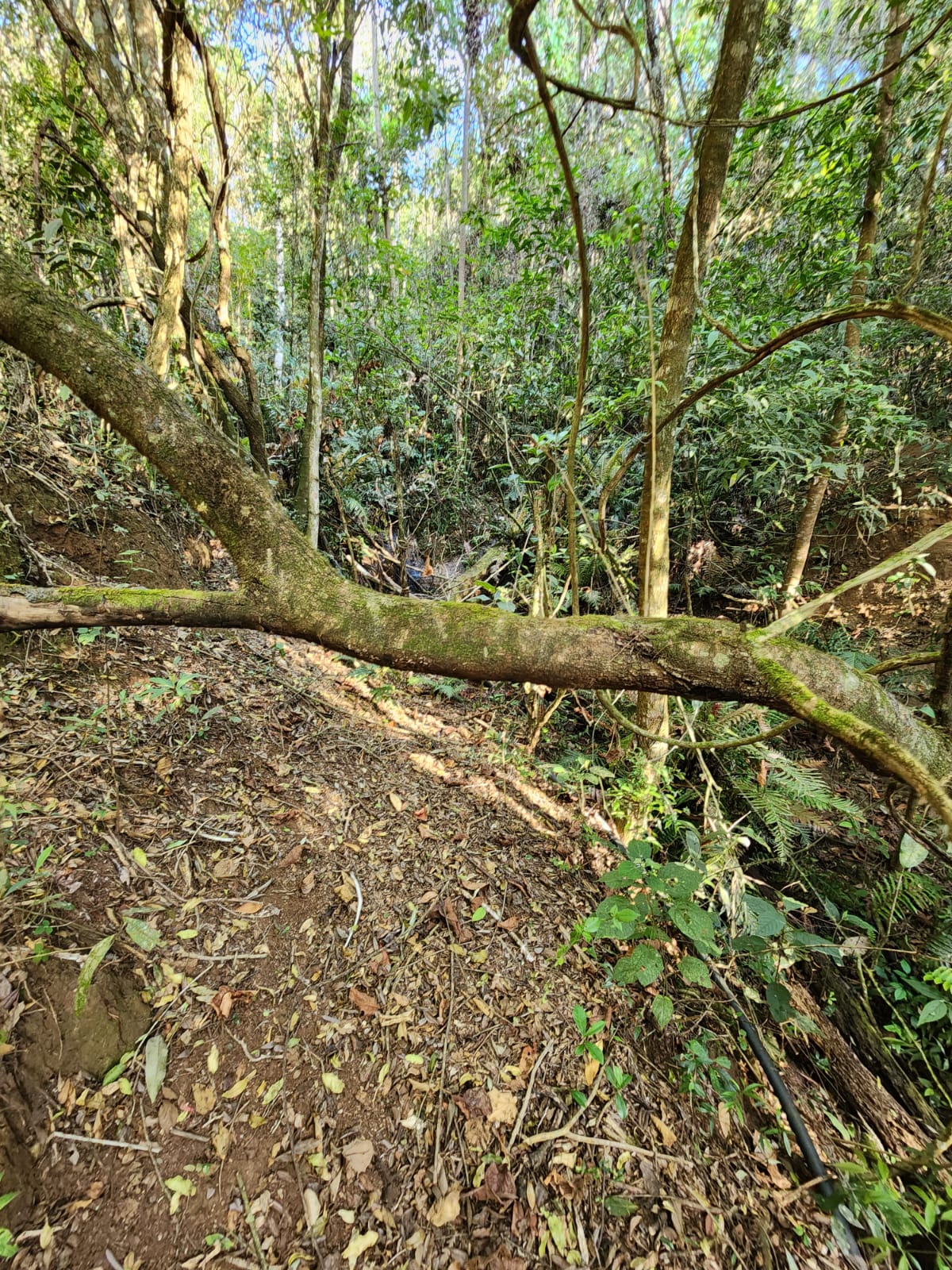 Sítio, 2 quartos, 166 m² - Foto 22