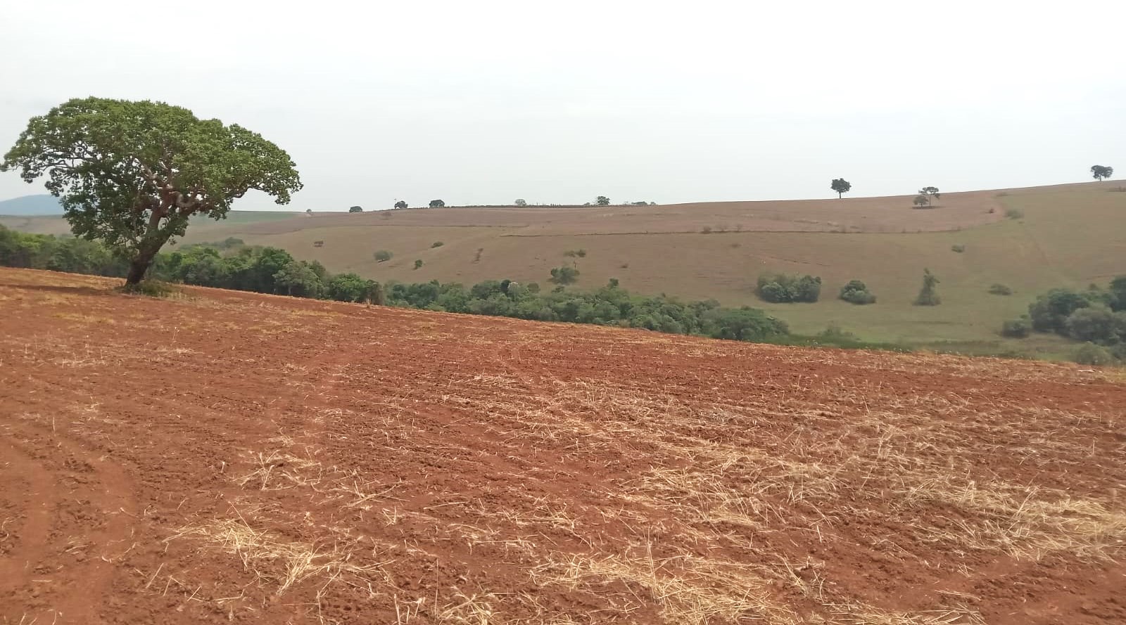 Fazenda, 968 m² - Foto 16