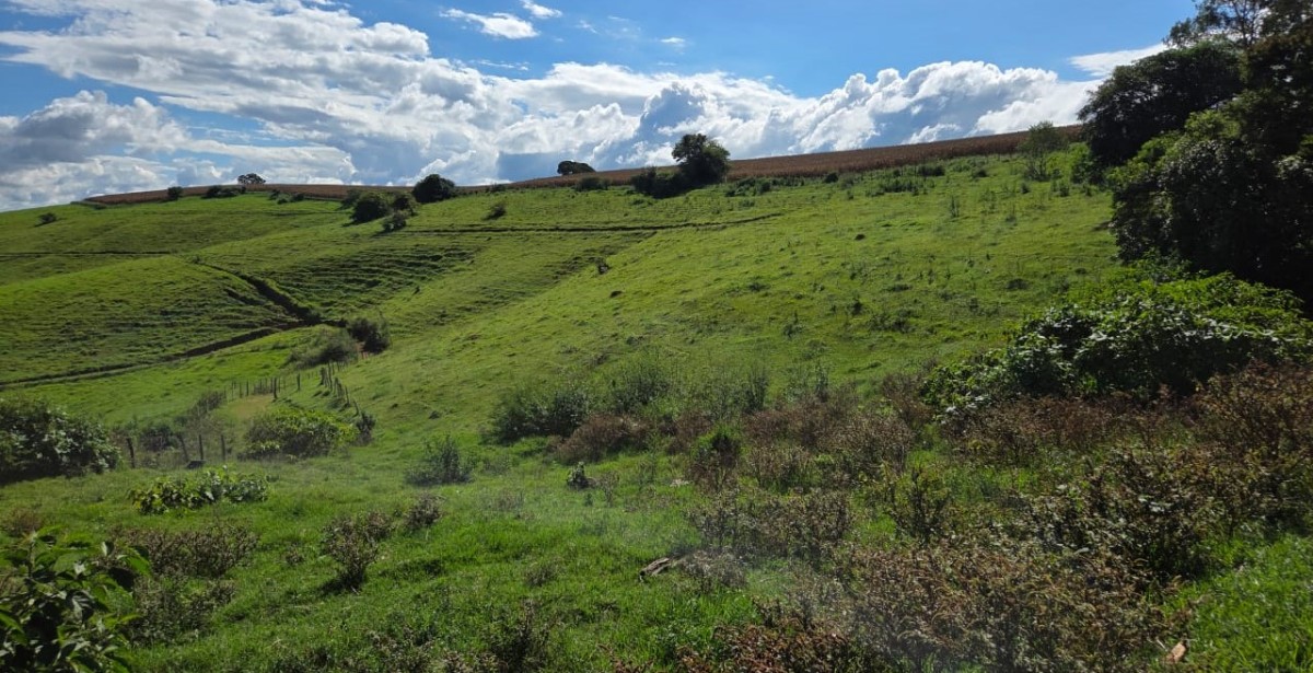 Fazenda, 968 m² - Foto 20