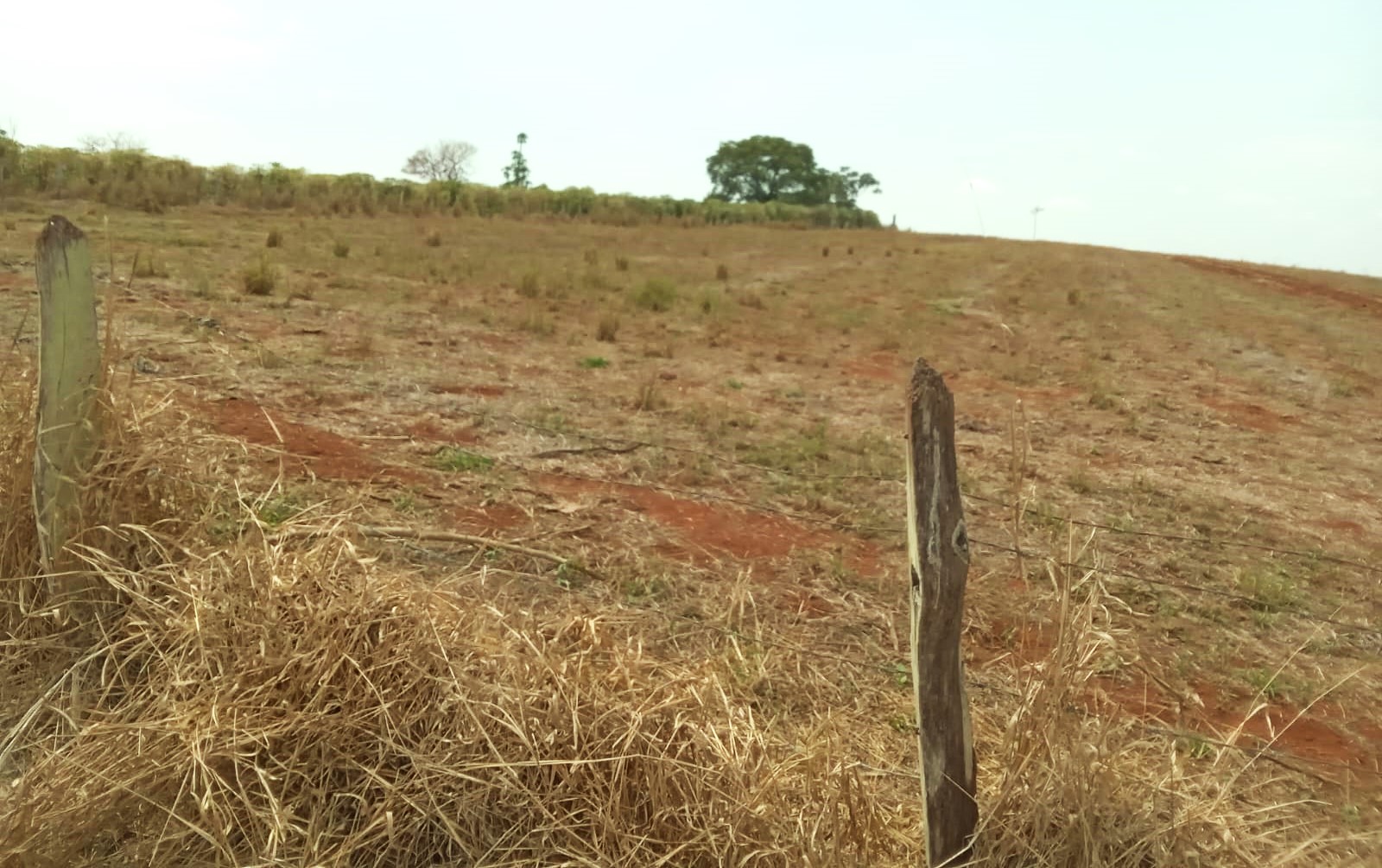 Fazenda, 968 m² - Foto 18