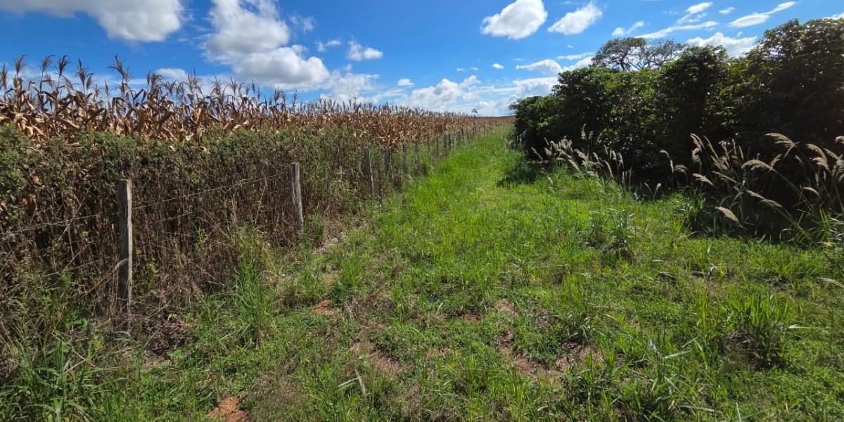 Fazenda, 968 m² - Foto 9