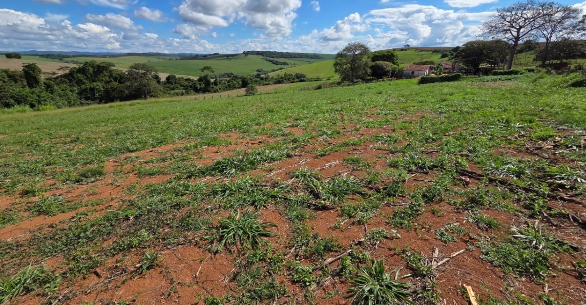 Fazenda, 968 m² - Foto 17