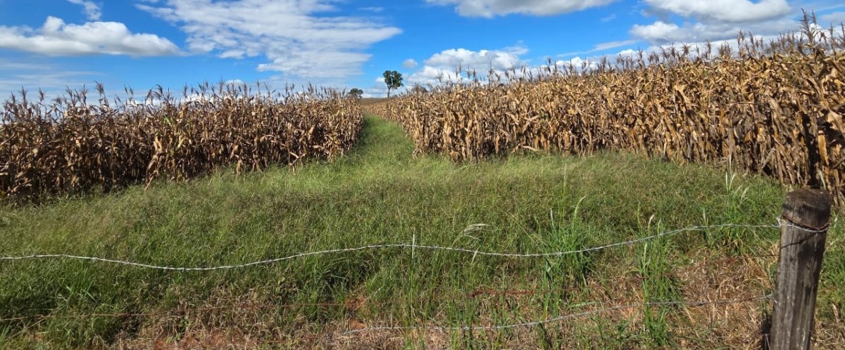 Fazenda, 968 m² - Foto 8