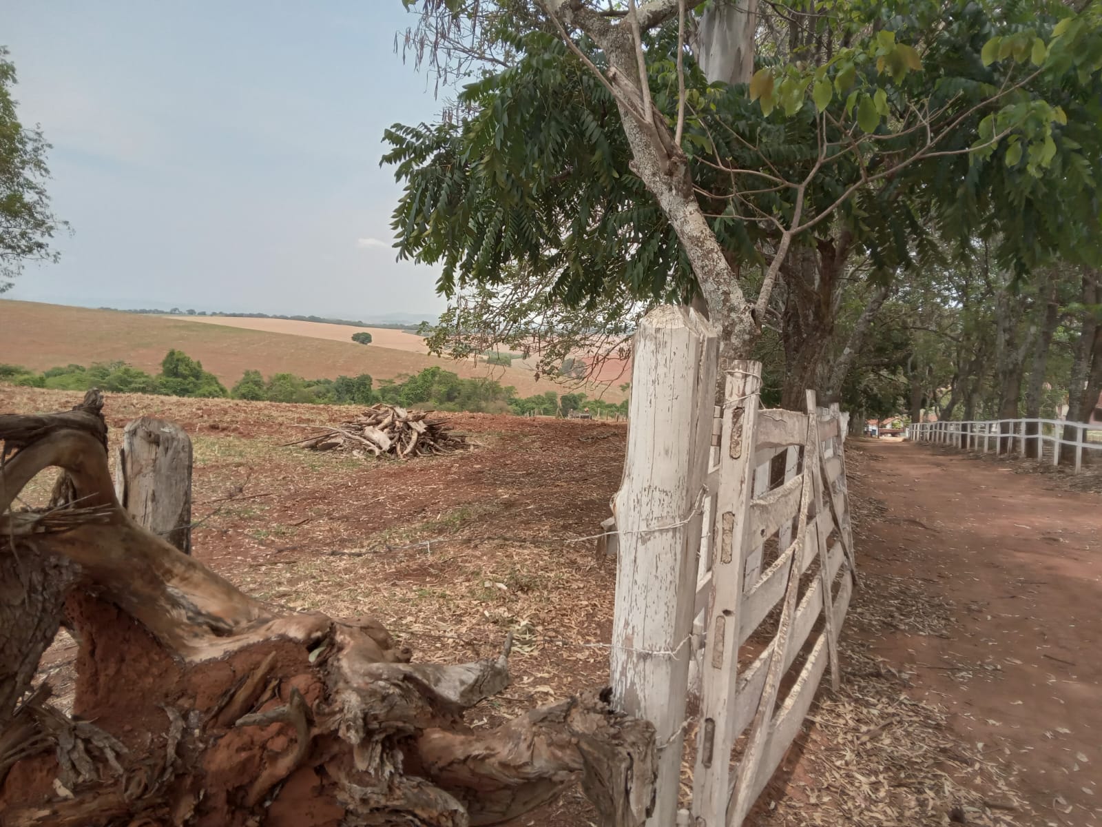 Fazenda, 968 m² - Foto 23