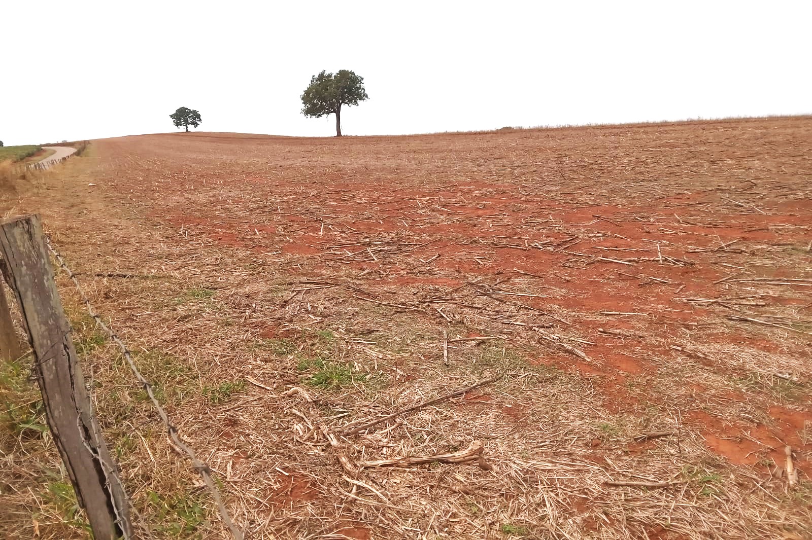 Fazenda, 968 m² - Foto 13