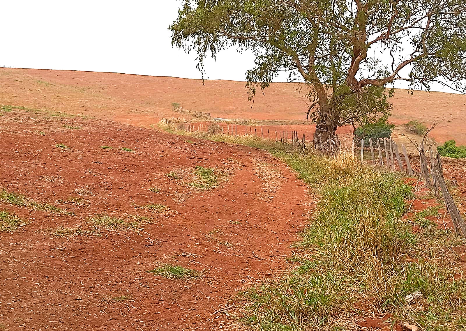 Fazenda, 968 m² - Foto 15