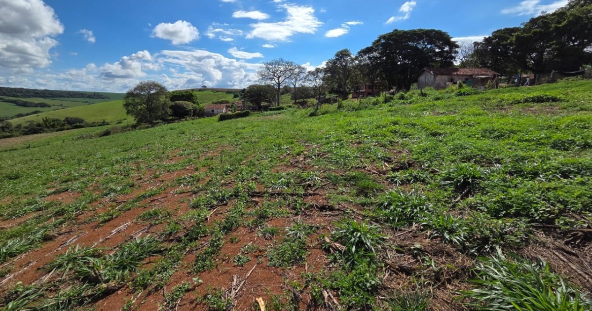 Fazenda, 968 m² - Foto 19