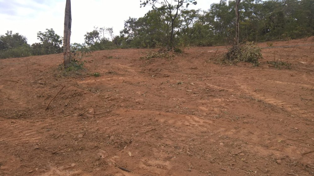 Chácara, 1 quarto - Foto 5