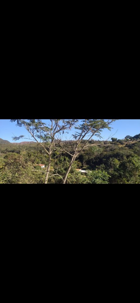 Chácara, 1 quarto - Foto 4