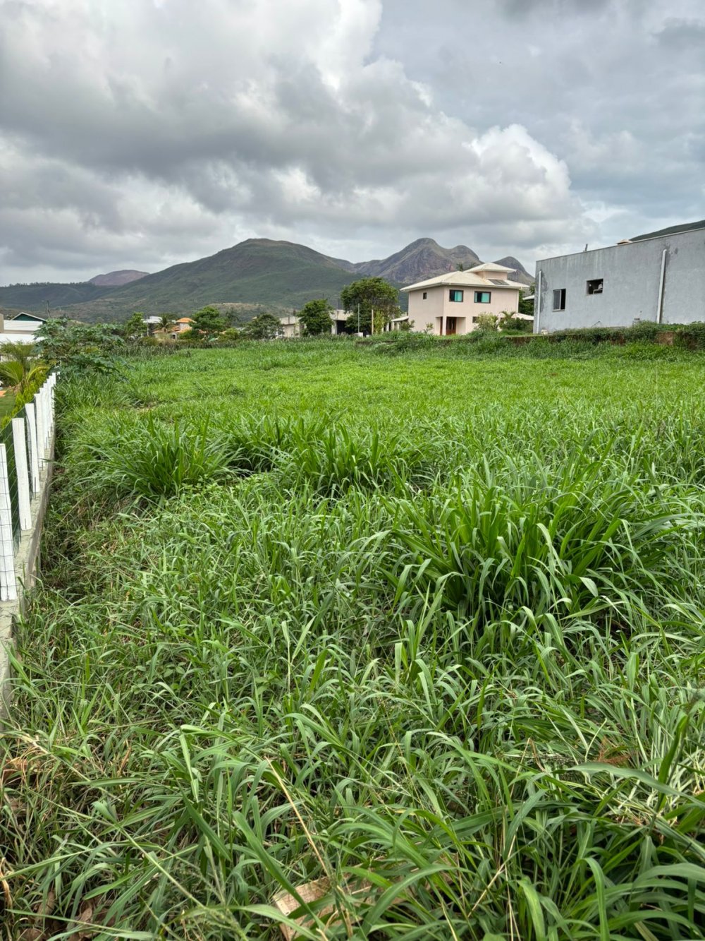 Terreno, 1000 m² - Foto 3