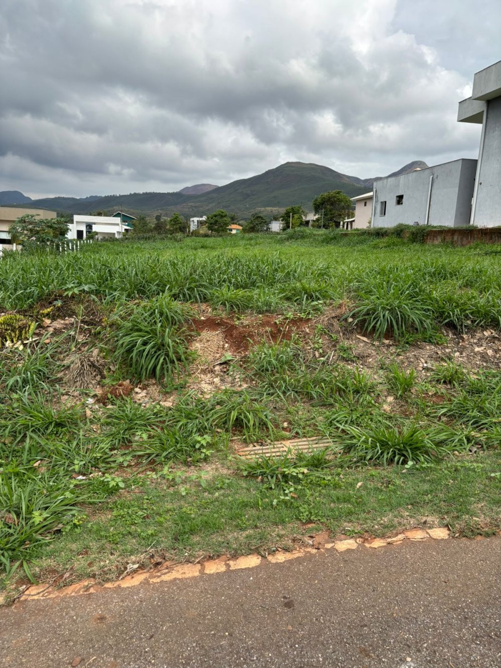 Terreno, 1000 m² - Foto 5