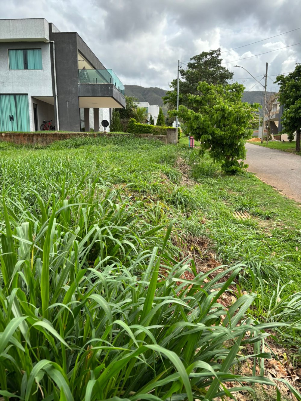 Terreno, 1000 m² - Foto 2